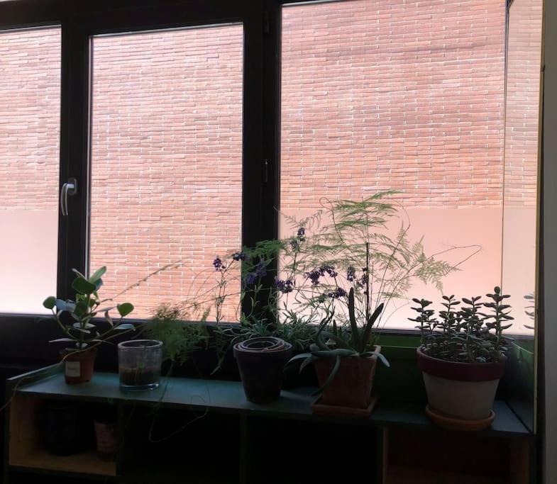 Logement De Charme Aux Carmes Tolosa Esterno foto