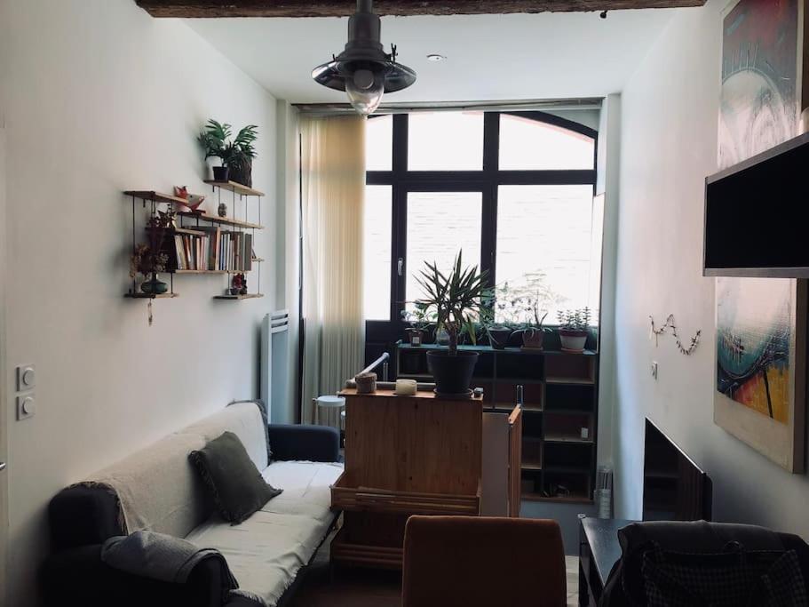 Logement De Charme Aux Carmes Tolosa Esterno foto